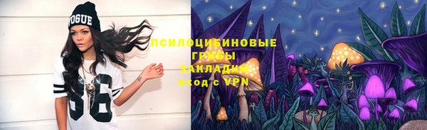гидропоника Инта