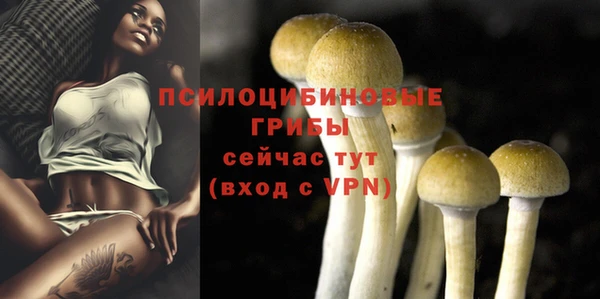 mix Иннополис
